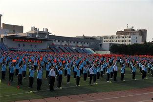 西农附中最新爆料,揭秘校园变革与未来展望